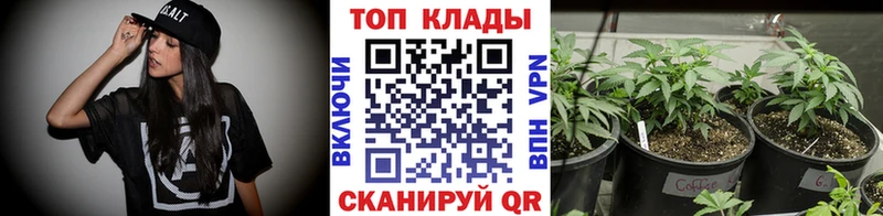 Псилоцибиновые грибы Черепаново