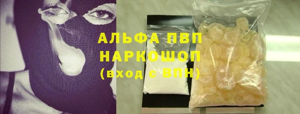 хмурый Алексин
