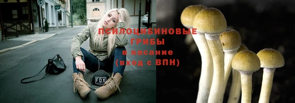хмурый Алексин