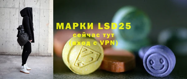хмурый Алексин