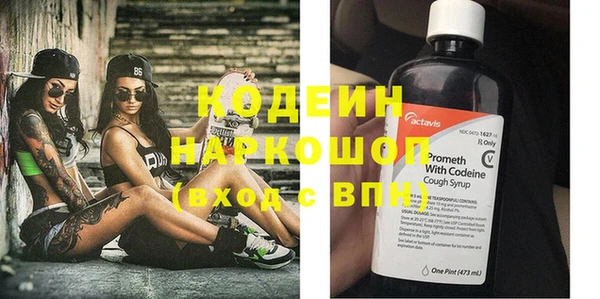 хмурый Алексин
