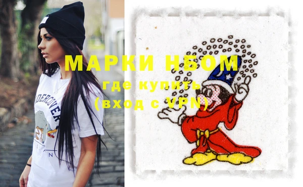 хмурый Алексин