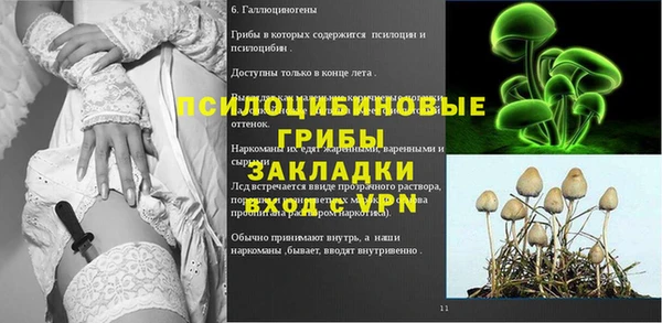 таблы Алзамай